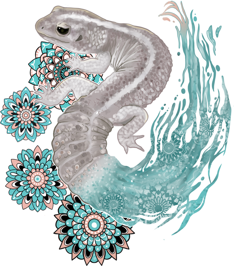 代表のイメージイラスト（ヒョウモントカゲモドキ）